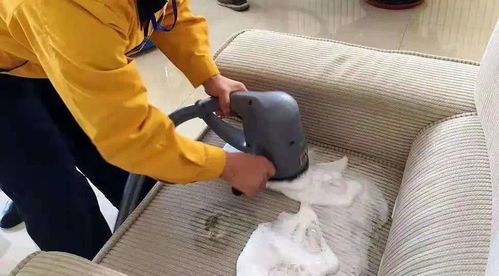 黃馬褂曹操到,緊隨潮流走上創新之路