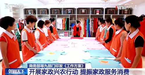 家政興農(nóng) 提振家政服務(wù)消費(fèi) 助力推進(jìn)鄉(xiāng)村全面振興